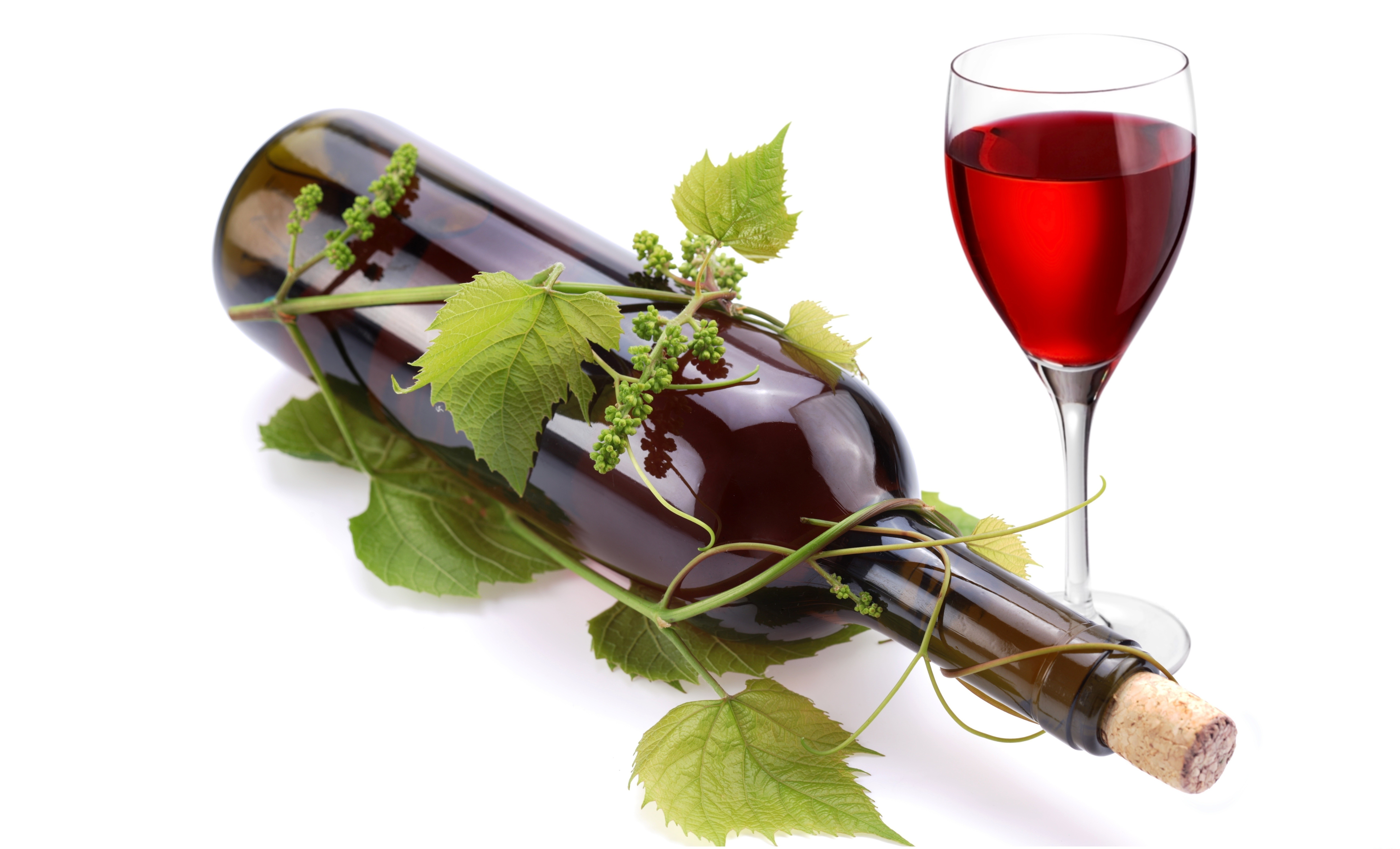 Download Food Wine 8k Ultra HD Wallpaper