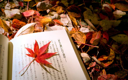 HD desktop wallpaper featuring an open book with hiragana text, a red maple leaf on its pages, and a background of colorful fallen autumn leaves.
