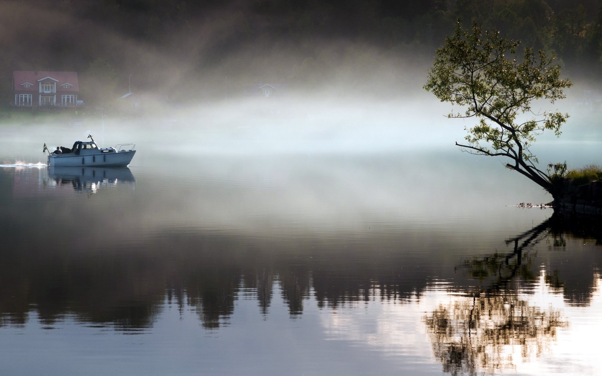 Photography: misty lake at dawn with lone boat and solitary tree, reflection mirrored on glassy water — 2K Quad HD PC desktop wallpaper and background.