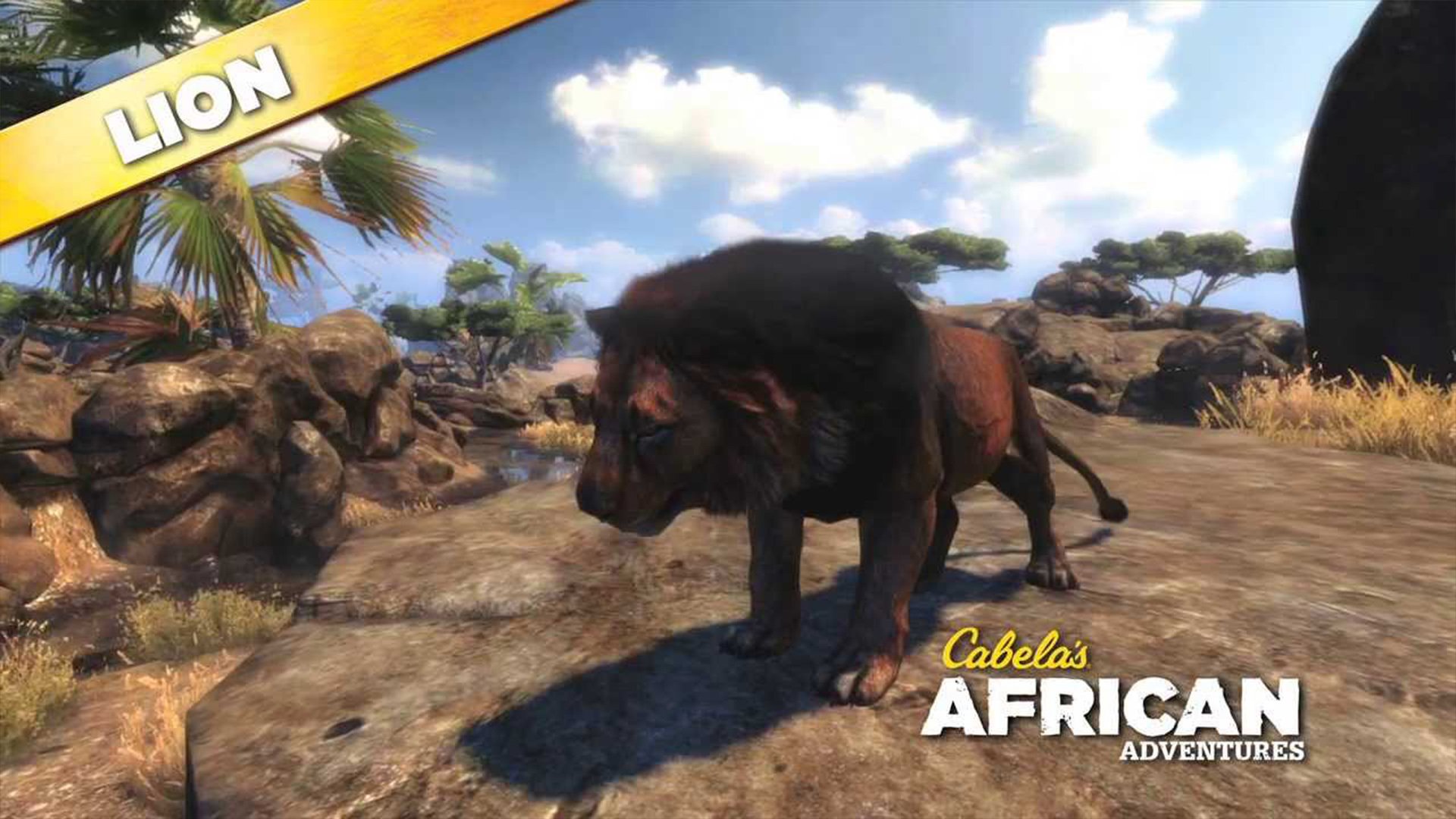 Download Video Game Cabela's African Adventures HD Wallpaper