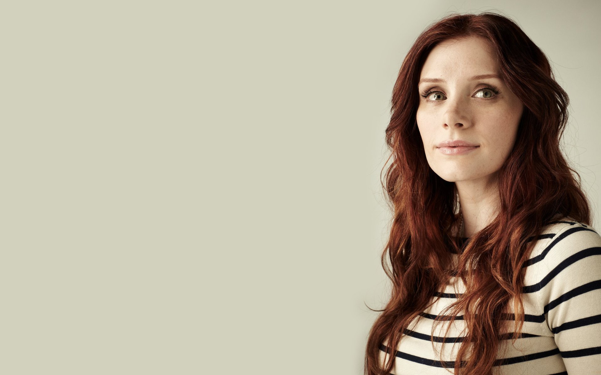 Download Actress American Celebrity Bryce Dallas Howard HD Wallpaper
