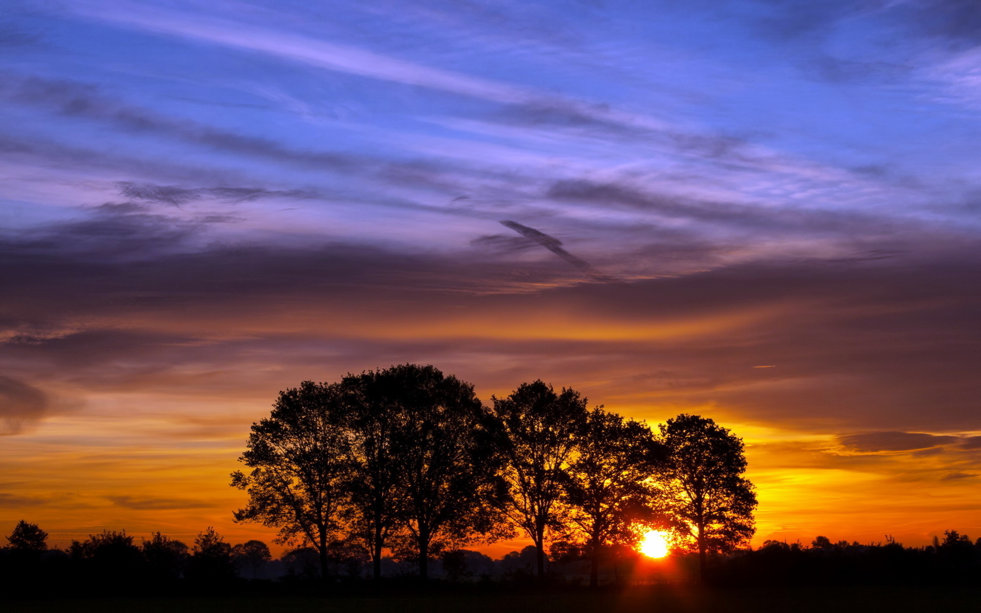 Download Nature Sunset HD Wallpaper