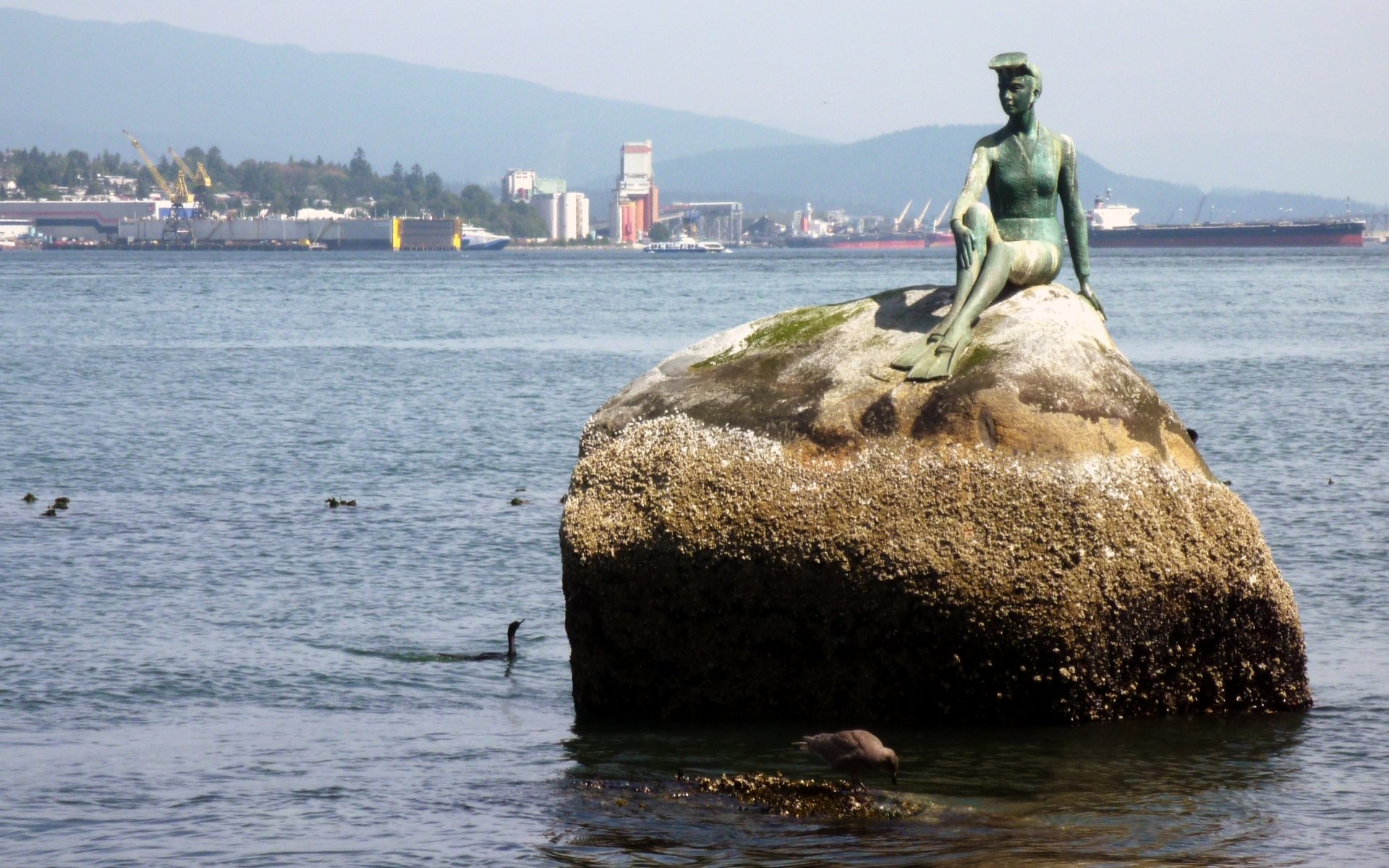 Download Man Made Girl In A Wetsuit Statue HD Wallpaper