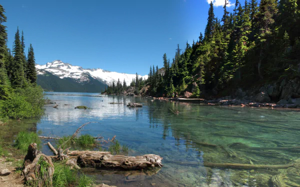 HD PC desktop wallpaper/background: Nature scene at Garibaldi Lake — turquoise waters, forested shores and snow-capped peaks beneath a bright blue sky.