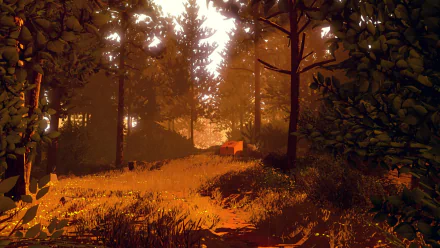 HD desktop wallpaper from the video game Firewatch, featuring a sunlit forest path surrounded by tall trees and dense foliage in warm, autumnal colors.