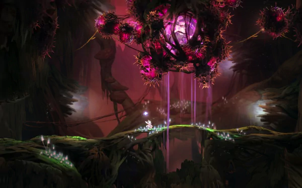 video game Ori and the Blind Forest HD Desktop Wallpaper | Background Image