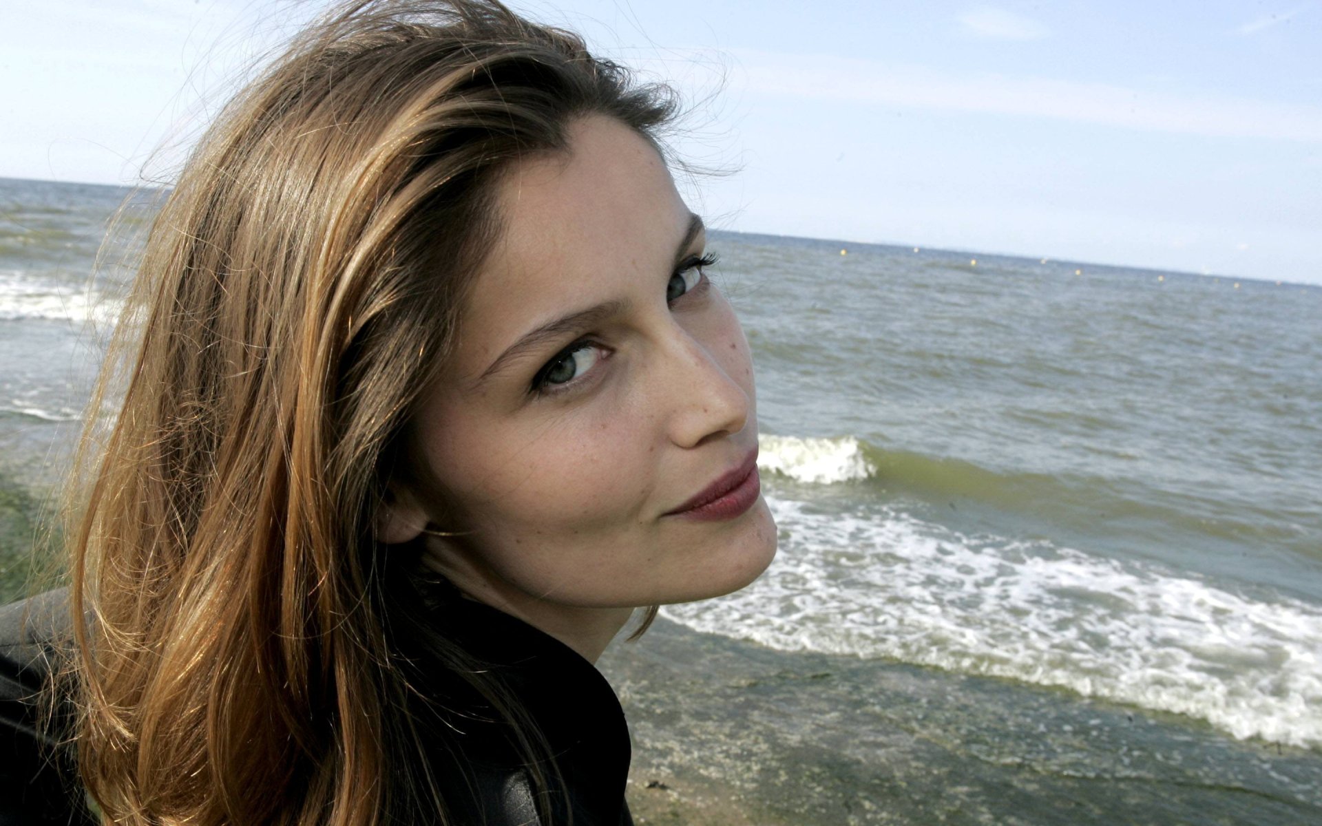 Download Model French Celebrity Laetitia Casta HD Wallpaper