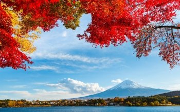 Mount Fuji Wallpaper and Background Image | 1024x768 | ID:6205 ...