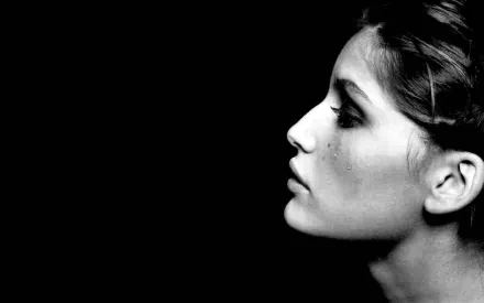 model French Celebrity Laetitia Casta HD Desktop Wallpaper | Background Image
