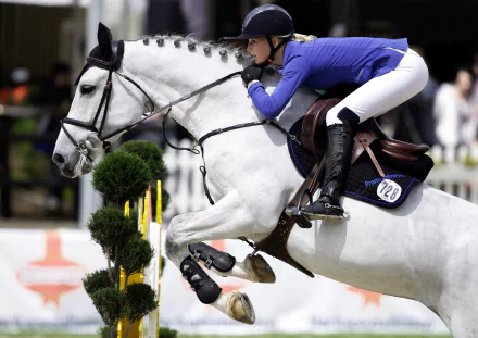 A rider in blue attire and helmet expertly guides a white horse over a show jumping obstacle in an equestrian sports event.