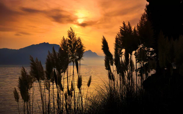 reed sunset mountain nature lake HD Desktop Wallpaper | Background Image