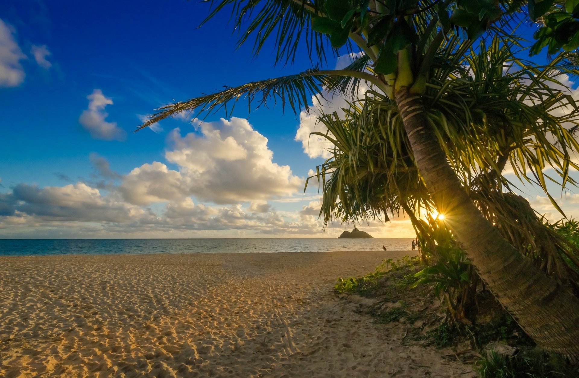 Download Sand Cloud Sun Palm Tree Beach Tropics Nature Tropical HD ...