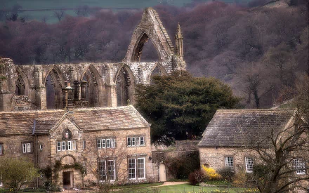 man made Bolton Priory HD Desktop Wallpaper | Background Image