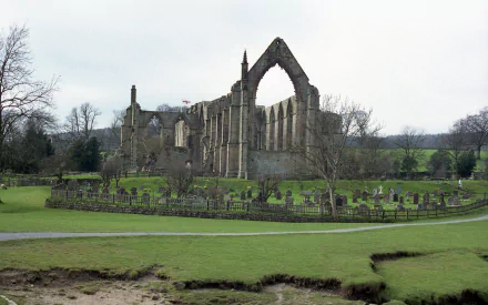 man made Bolton Priory HD Desktop Wallpaper | Background Image
