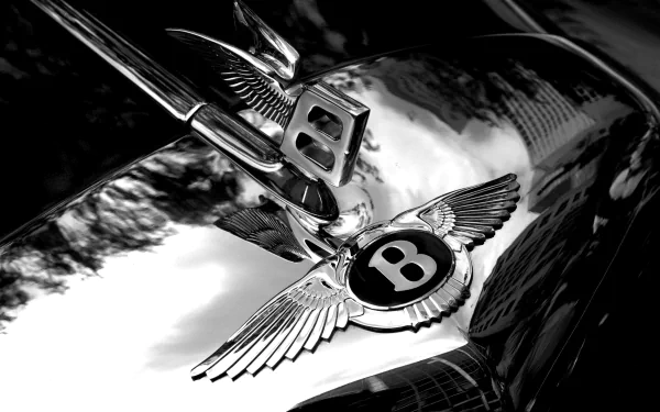 vehicle Bentley HD Desktop Wallpaper | Background Image