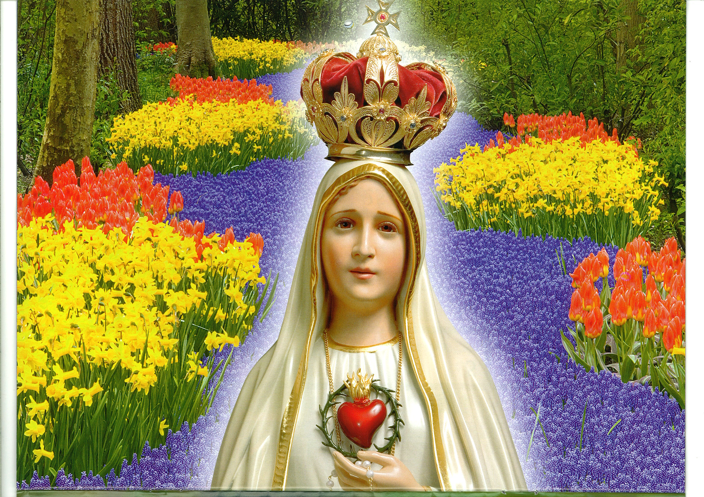 20+ Mary (Mother of Jesus) HD Wallpapers and Backgrounds