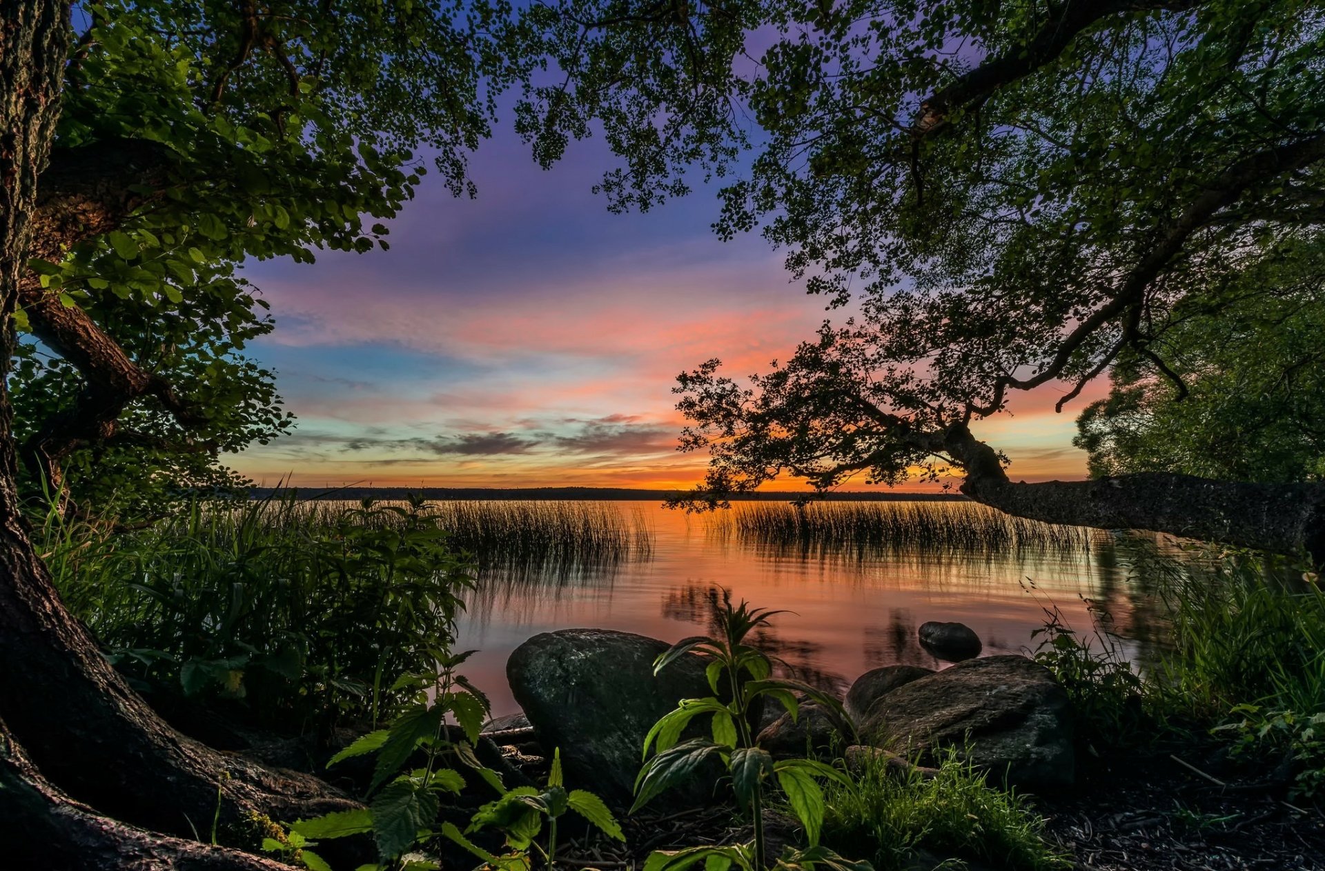 HD desktop wallpaper capturing a serene lake at sunrise framed by lush trees and vibrant nature under a colorful sky.