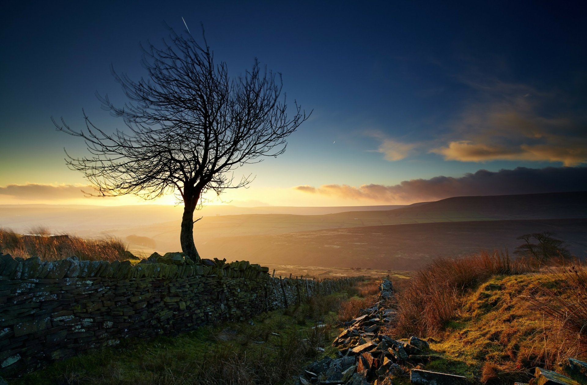 A lone tree stands by a man-made stone wall at sunset, with vibrant sunshine and a meteor streaking across the sky, captured in high-definition.