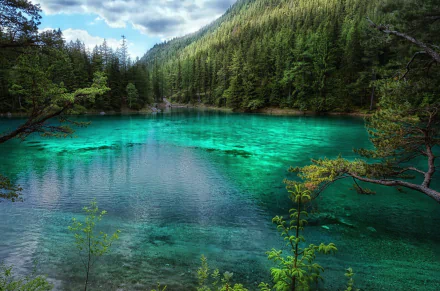 Vivid HD wallpaper of a serene lake in an Austrian forest, showcasing crystal clear turquoise waters surrounded by lush greenery.