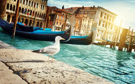 man made Venice HD Desktop Wallpaper | Background Image