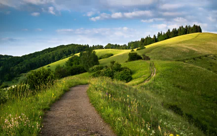 A scenic HD wallpaper showing a man-made path winding through a lush landscape with rolling hills, grassy fields, and a forest under a blue sky with clouds.