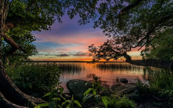Nature Lake Lakes Sunrise Tree HD Wallpaper | Background Image