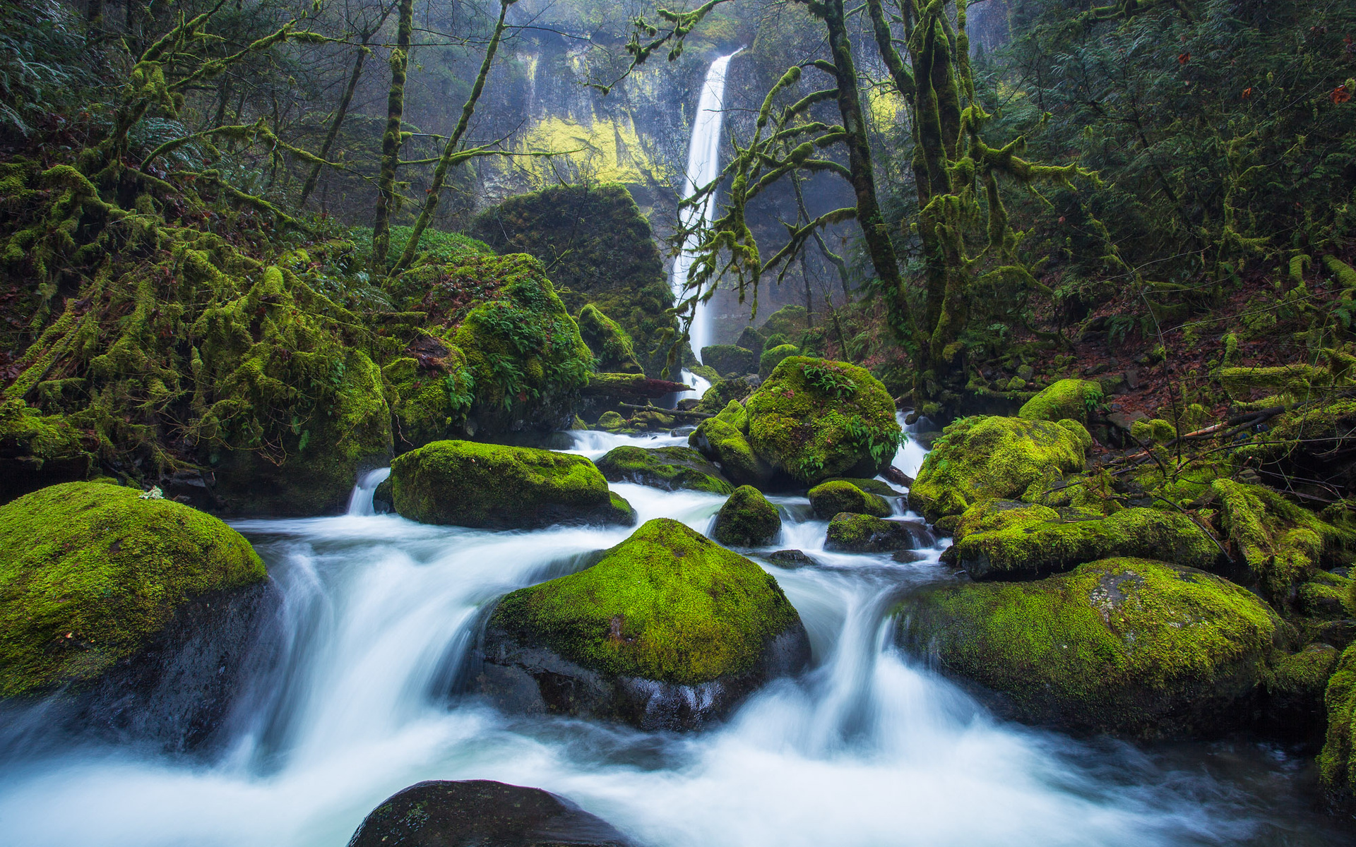 Download Nature Waterfall HD Wallpaper by Michael Matti