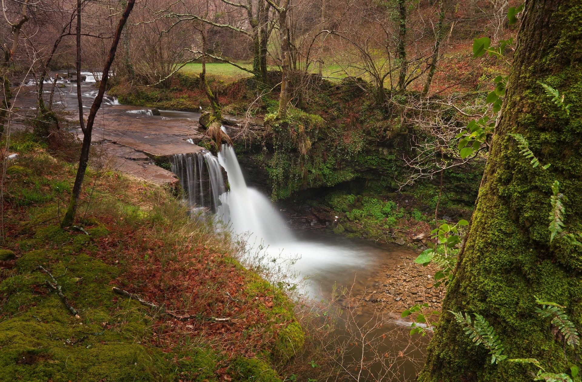 Download Fall Wood Nature Waterfall HD Wallpaper