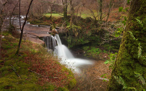 fall wood nature waterfall HD Desktop Wallpaper | Background Image