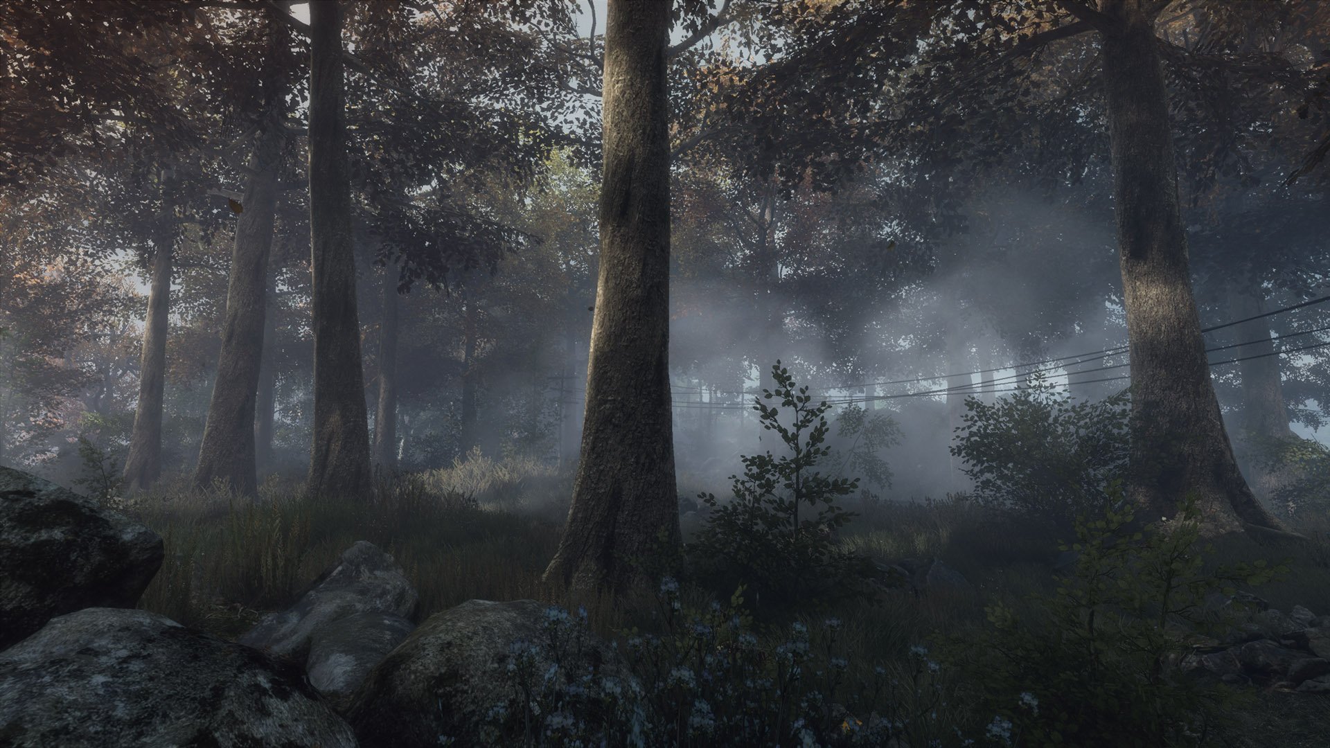 The vanishing of ethan carter как сохраняться