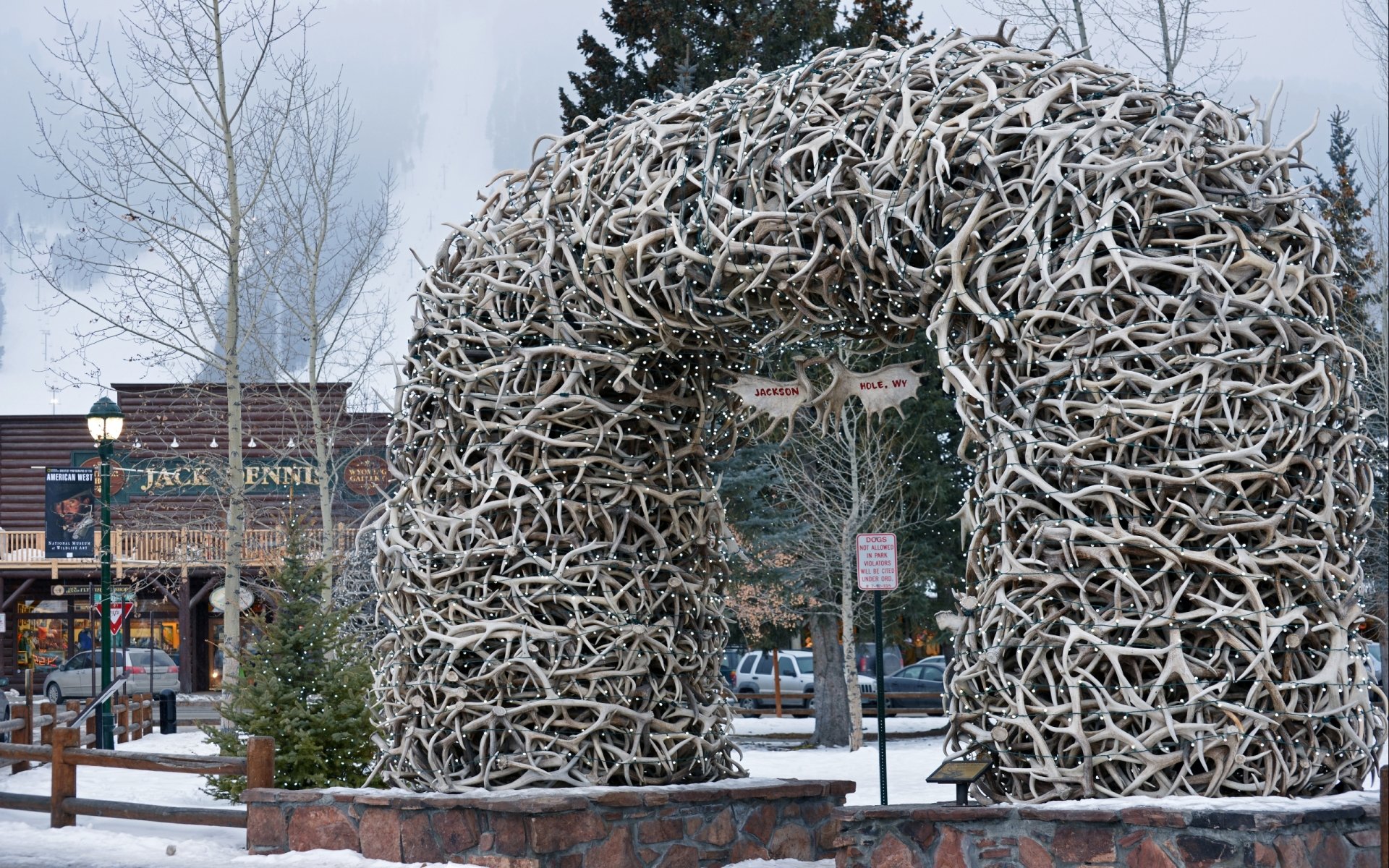 Download Man Made Antler Arch HD Wallpaper