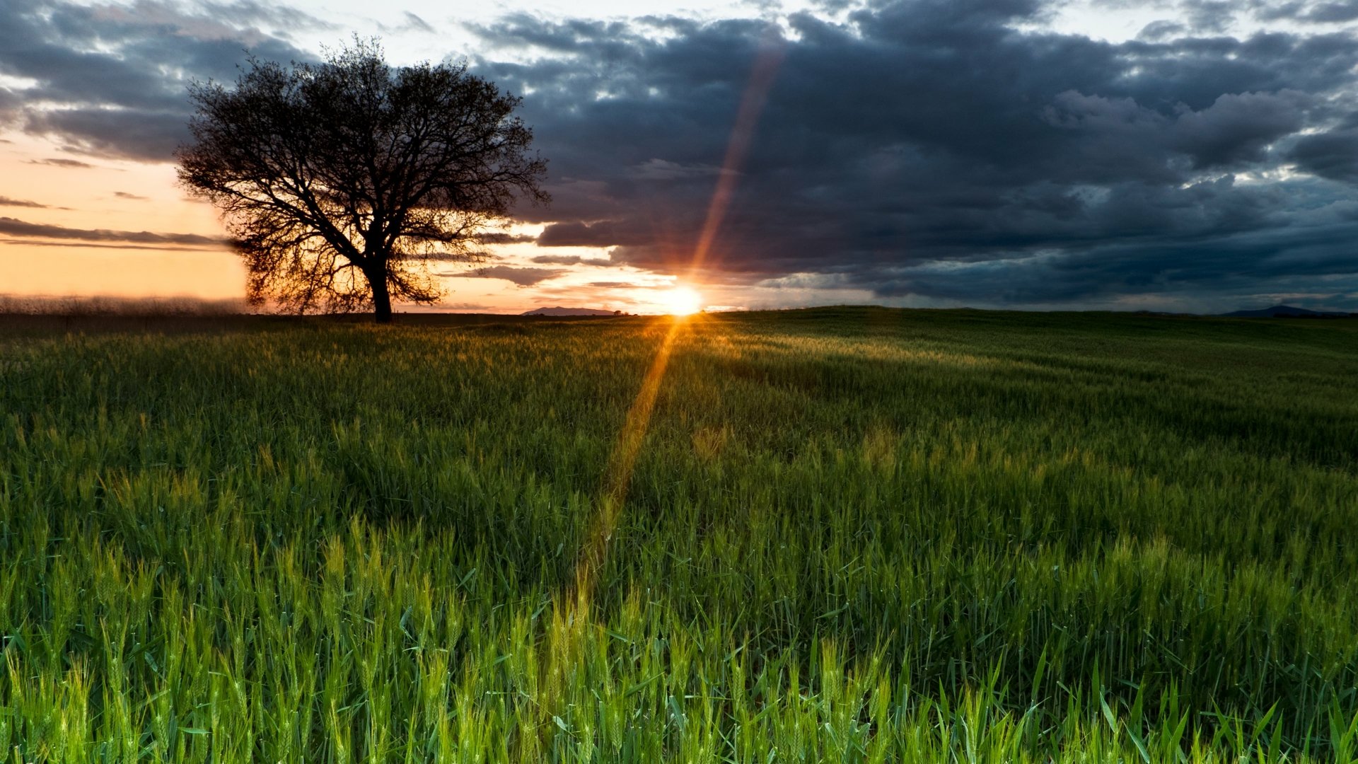 Download Nature Sunrise 4k Ultra HD Wallpaper