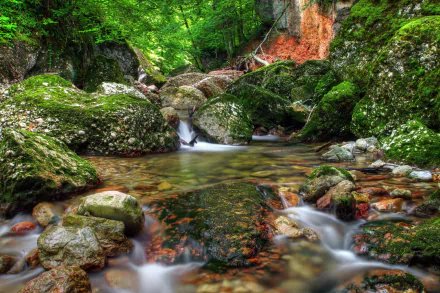 moss motion blur water nature stream HD Desktop Wallpaper | Background Image