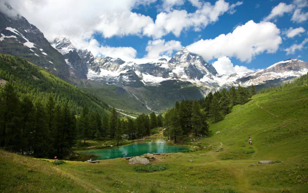 A stunning HD wallpaper of the Alps, showcasing lush green meadows, towering snow-capped mountains, and a serene blue lake under a bright sky. Nature's beauty captured in detail.
