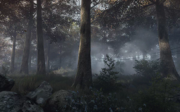 HD PC desktop wallpaper/background from the video game The Vanishing of Ethan Carter — misty, sunlit woodland with tall trees, ferns and rocky understory.