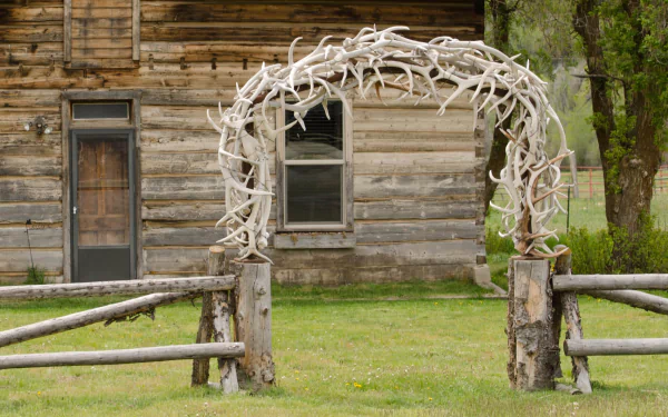 man made Antler Arch HD Desktop Wallpaper | Background Image
