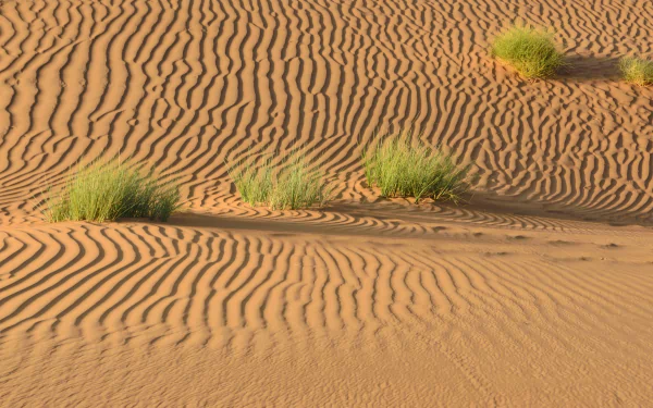 nature desert HD Desktop Wallpaper | Background Image