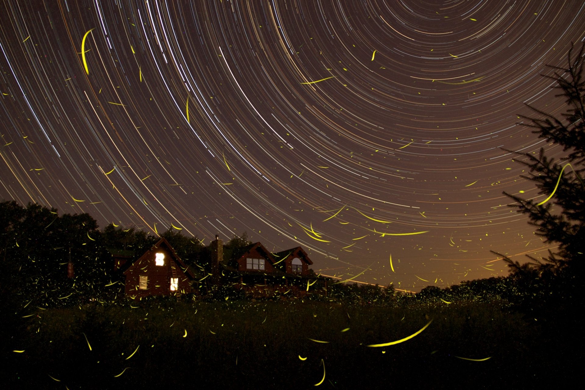 HD PC desktop wallpaper/background: time-lapse night scene with circular star trails over a house, glowing leaf-like light streaks and a sci-fi atmosphere.