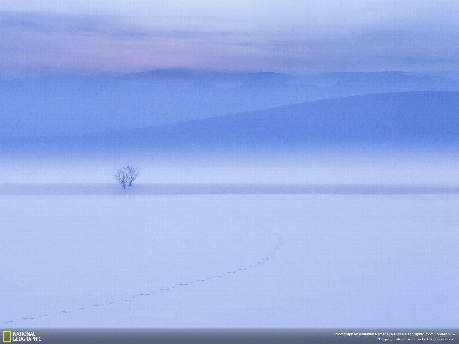 download-snow-nature-winter-wallpaper