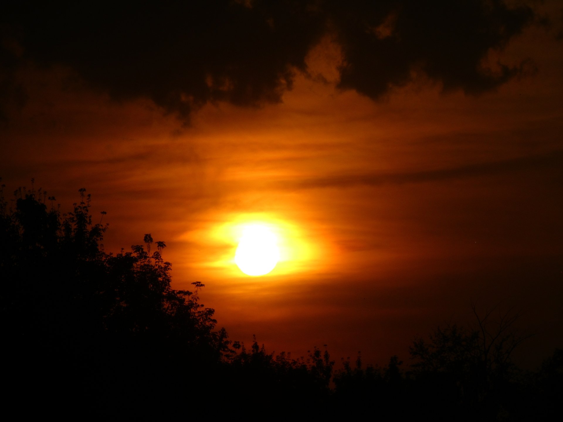 Download Nature Sunset 4k Ultra HD Wallpaper by Vergilius