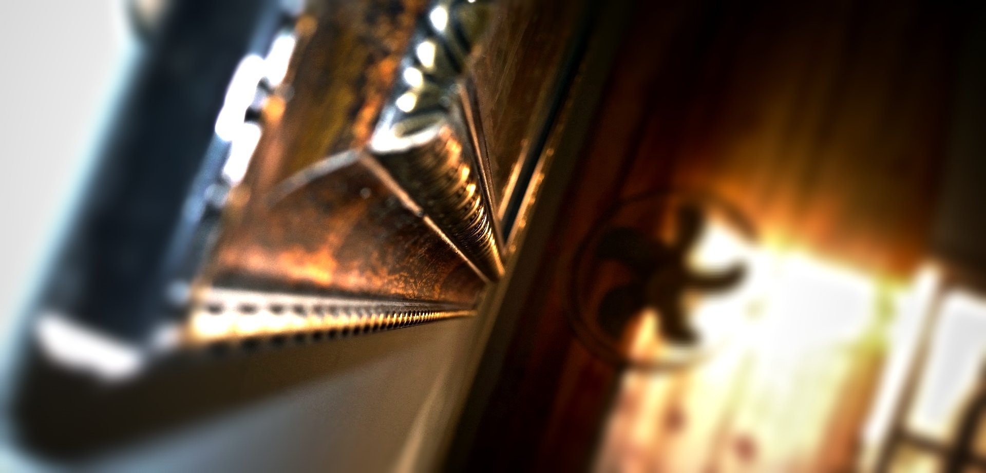 Download Photography Macro Wallpaper