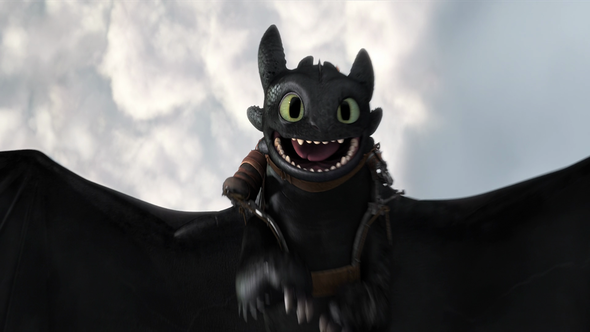 Toothless and Light Fury Dark Wallpaper 43143 - Baltana