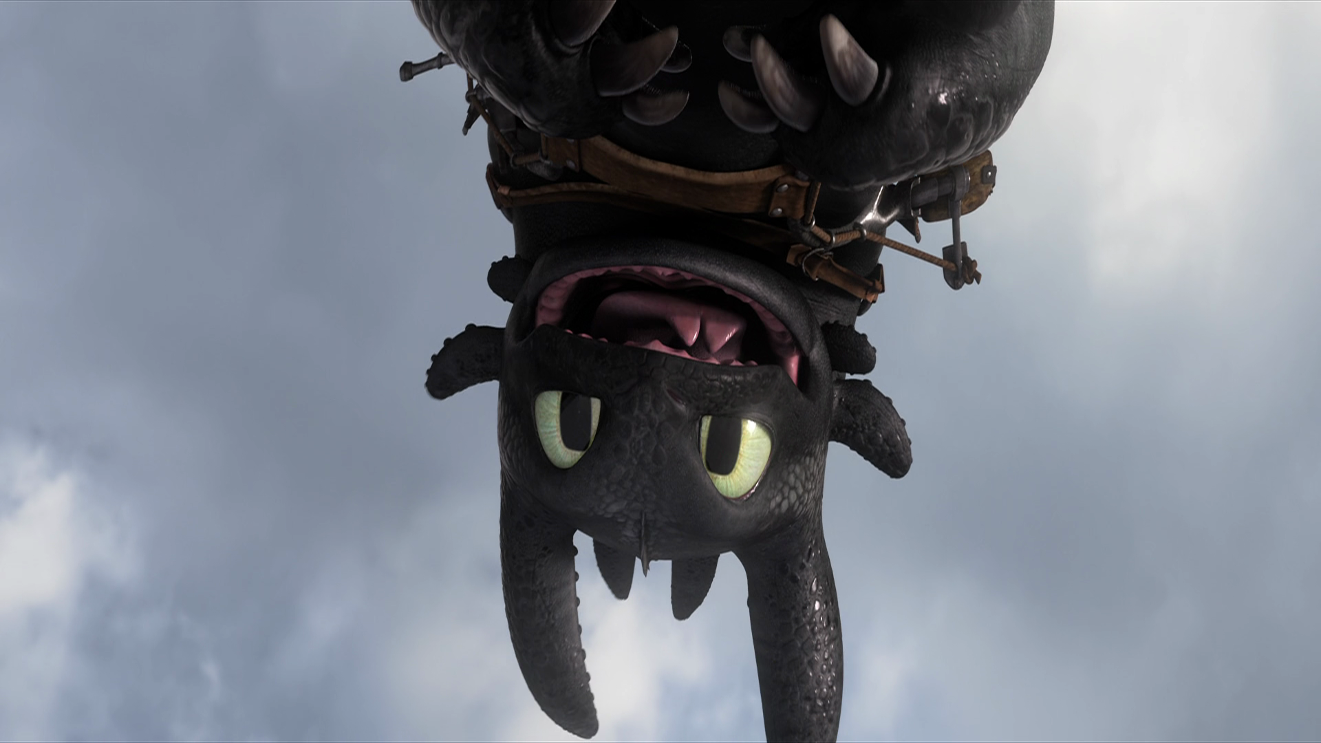 100+ Toothless wallpaper cute For How to Train your Dragon fans
