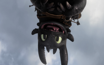 125 Toothless How To Train Your Dragon Fonds D Ecran Hd