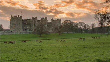 man made Raby Castle HD Desktop Wallpaper | Background Image