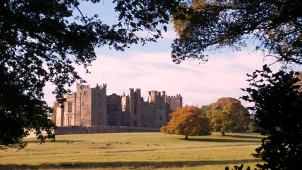 man made Raby Castle HD Desktop Wallpaper | Background Image