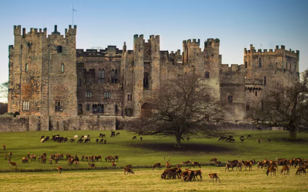 man made Raby Castle HD Desktop Wallpaper | Background Image