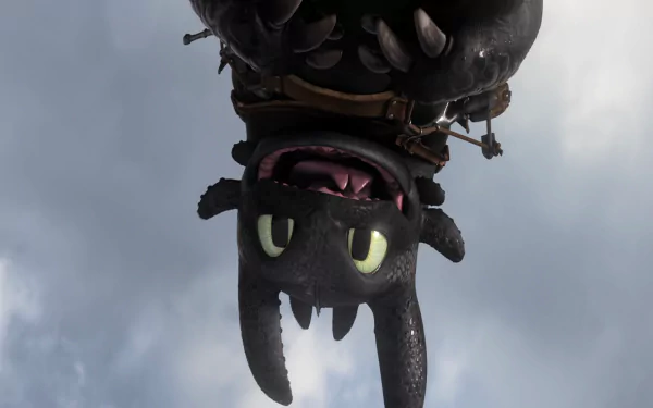Toothless (How to Train Your Dragon) movie How to Train Your Dragon 2 HD Desktop Wallpaper | Background Image