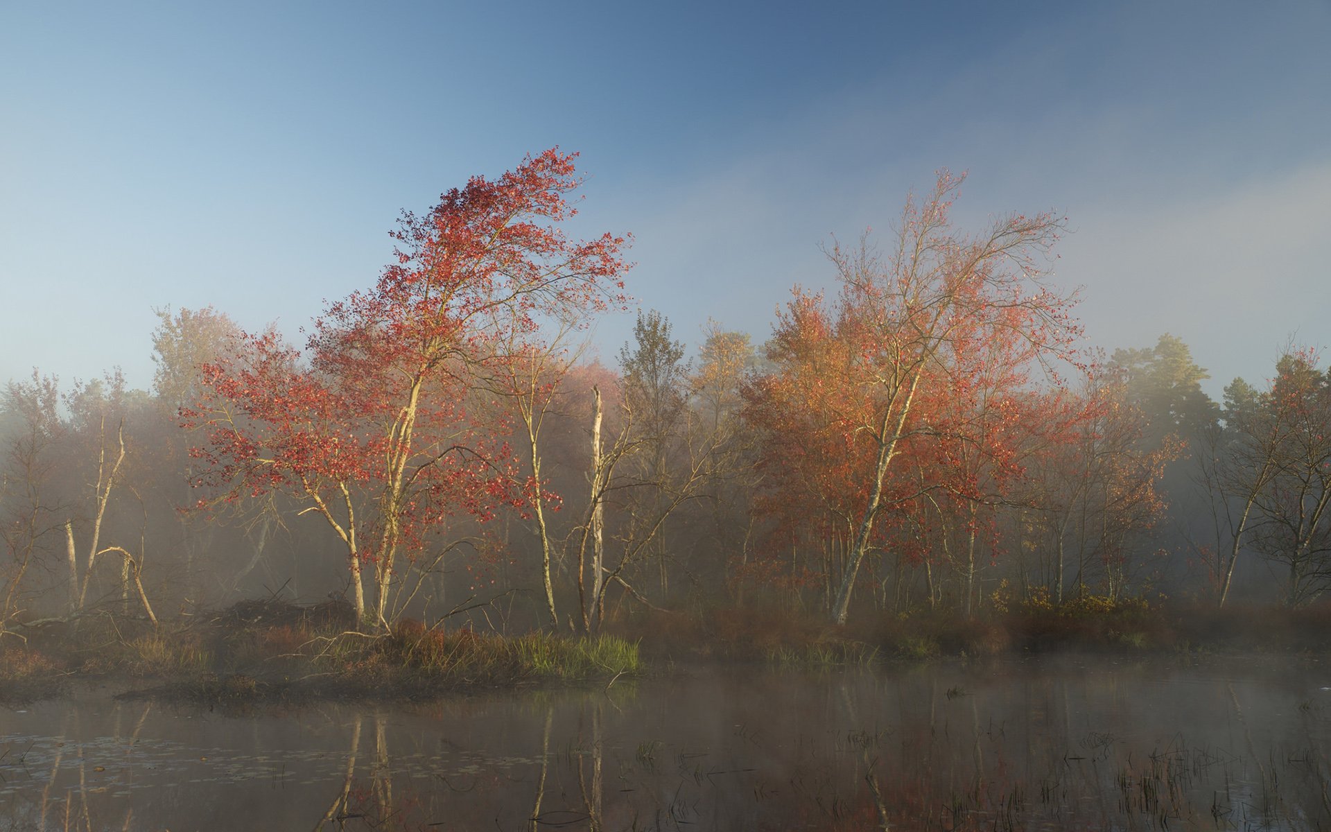 Download Nature Fall HD Wallpaper by Erno James Gyetvai | 1920x1200 ...