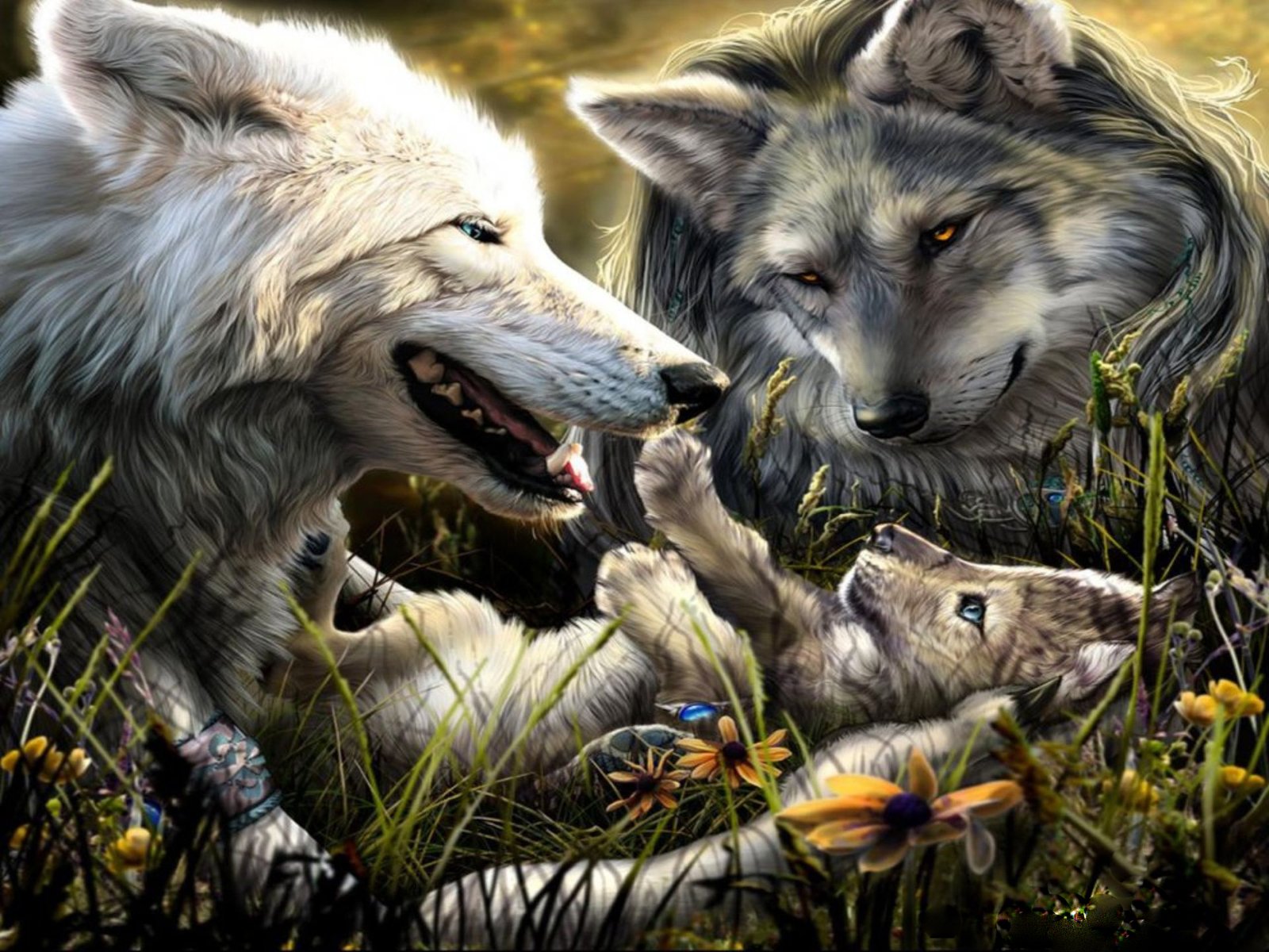 Wolf family Wallpaper and Hintergrund | 1600x1200 | ID:552975